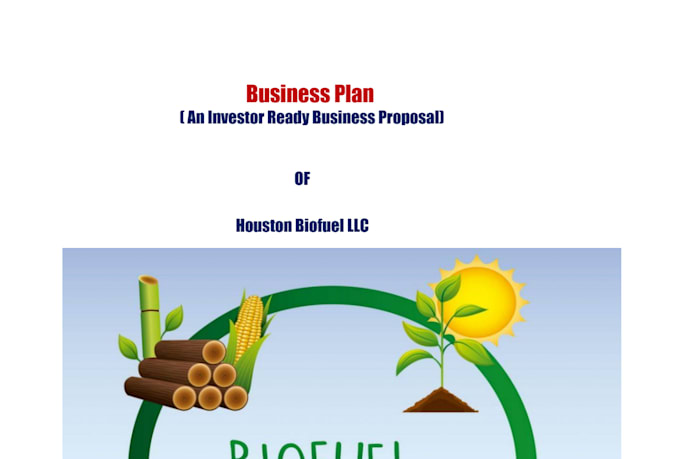 develop a complete project proposal for loan approval or fund raising